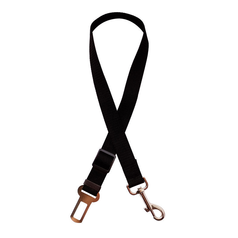 Ceinture de sécurité pour chien et chat en voiture