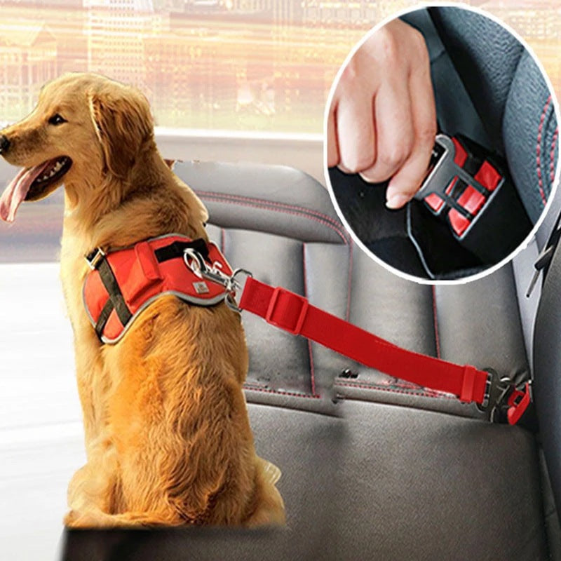 Ceinture de sécurité pour chien et chat en voiture