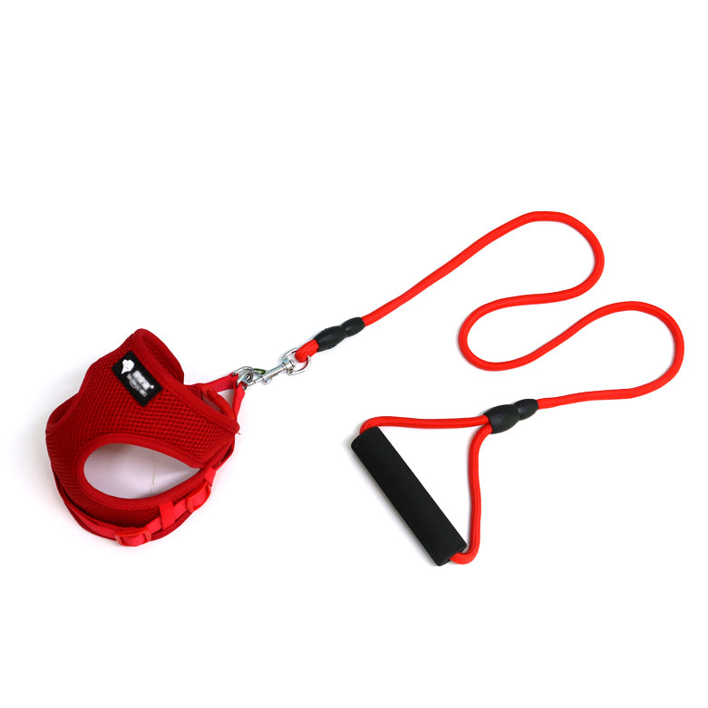 Collier et laisse pour petit chien, 120 cm
