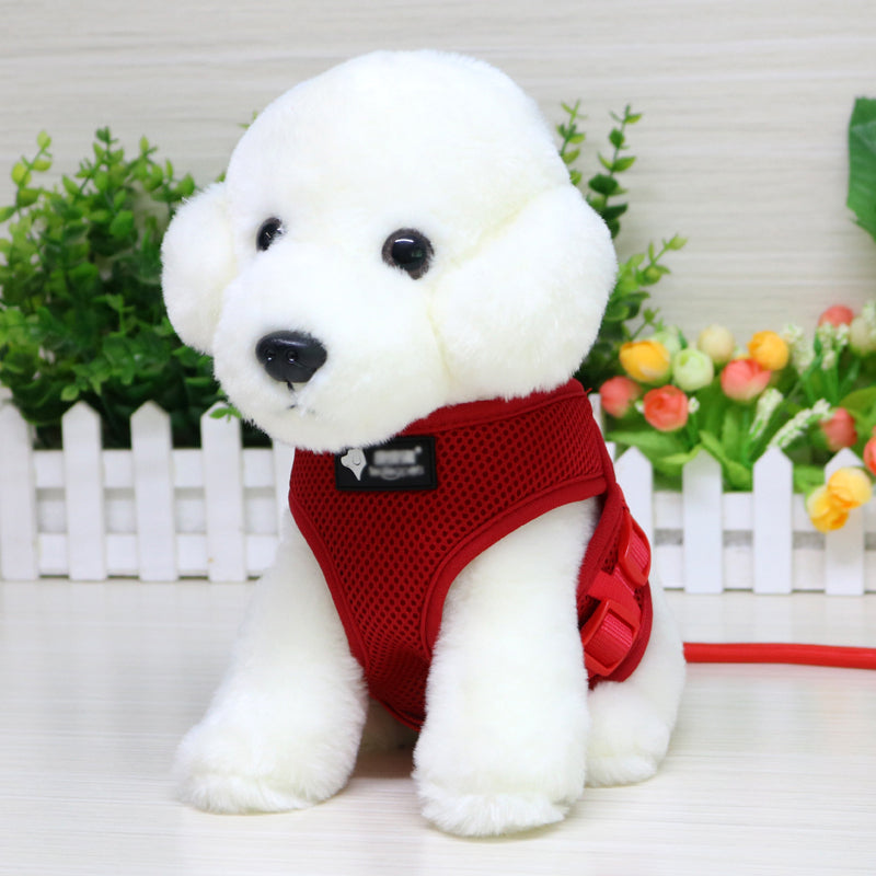 Collier et laisse pour petit chien, 120 cm