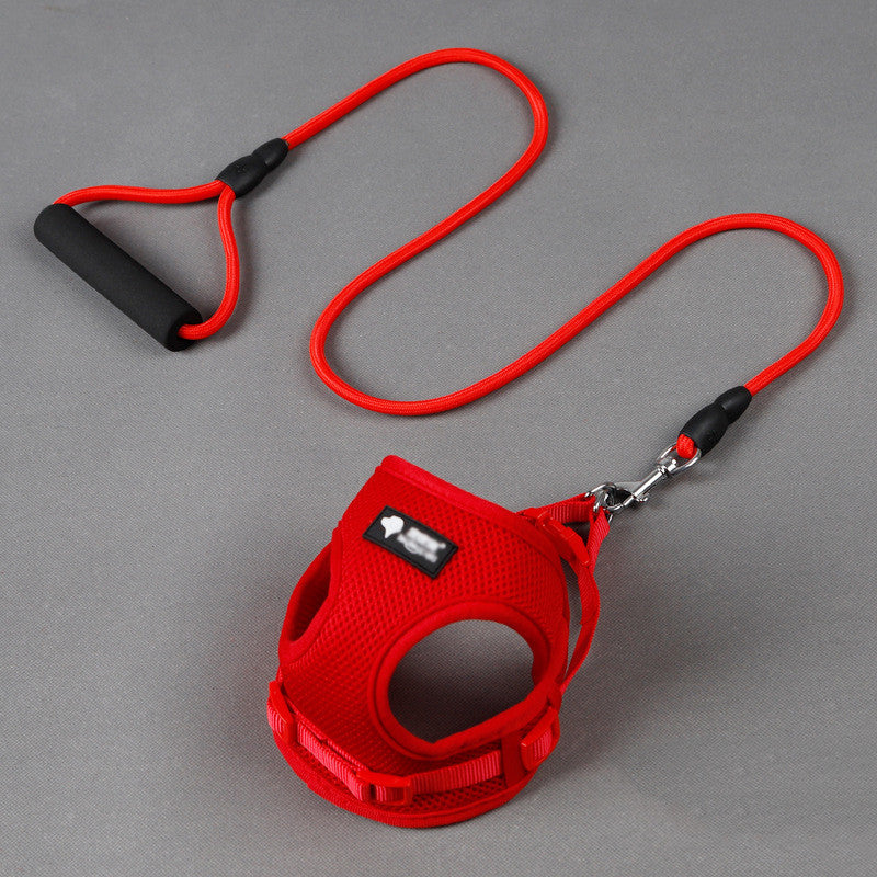 Collier et laisse pour petit chien, 120 cm