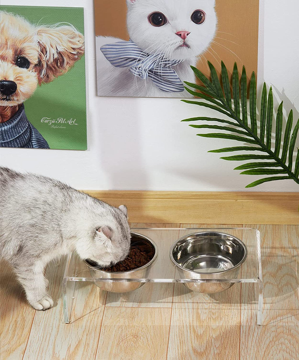Support à gamelles en acrylique pour chien et chat