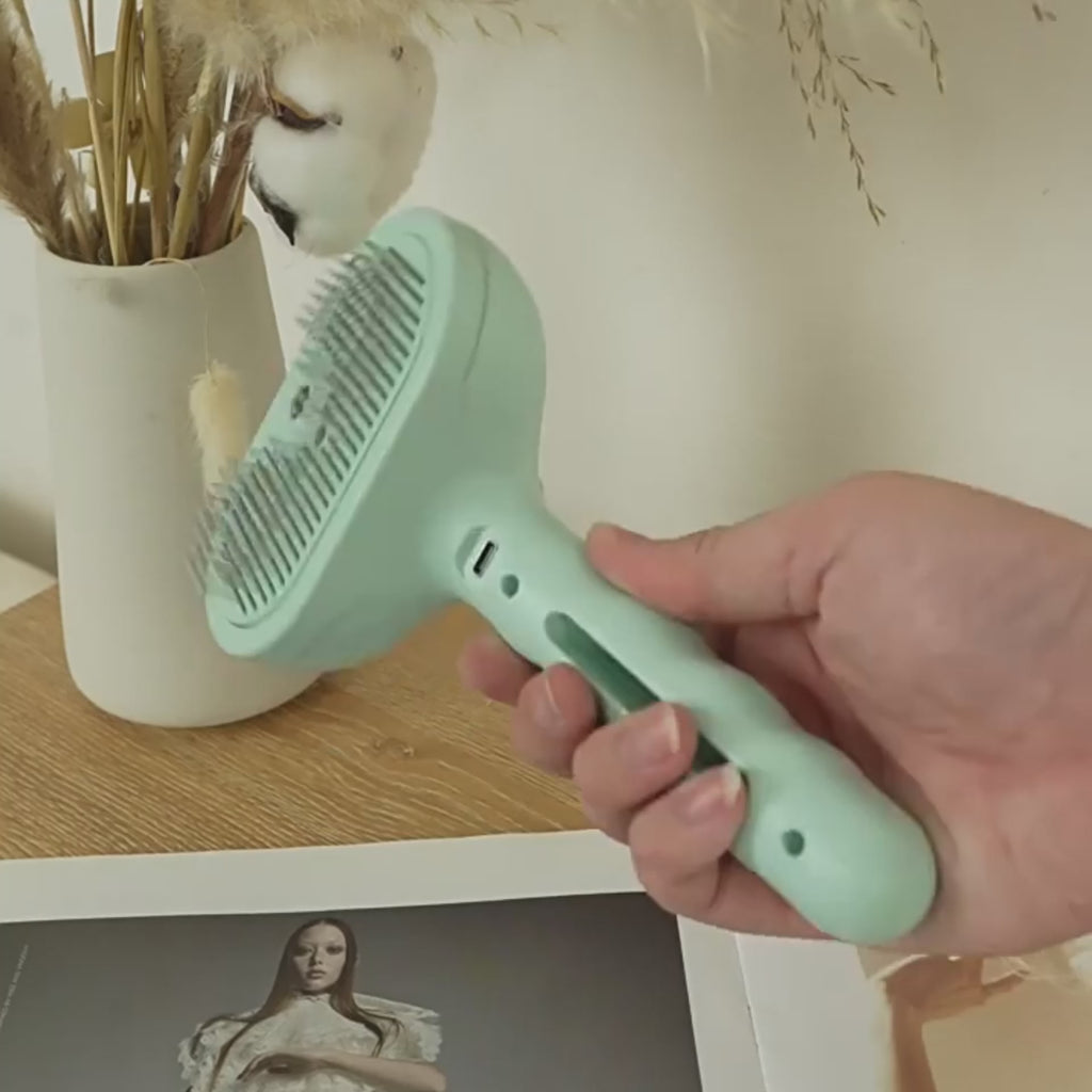 Peigne de toilettage pour animaux de compagnie