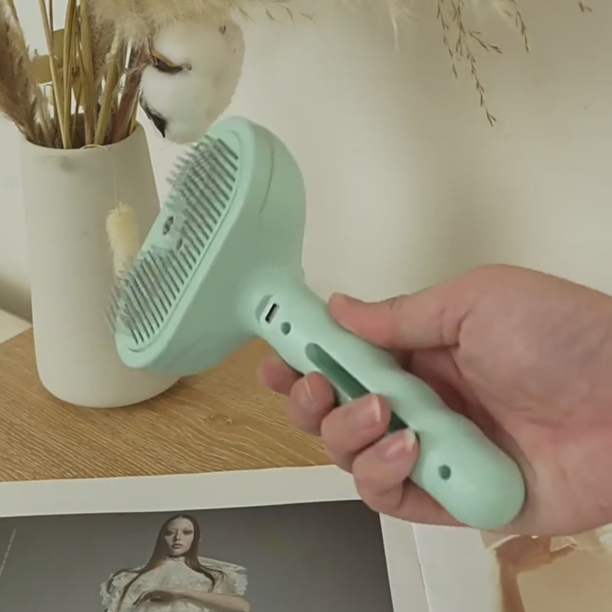 Peigne de toilettage pour animaux de compagnie