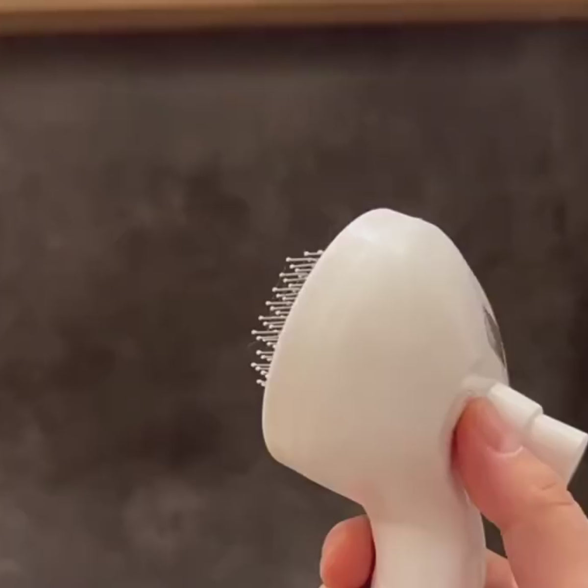 Peigne de toilettage pour animaux de compagnie