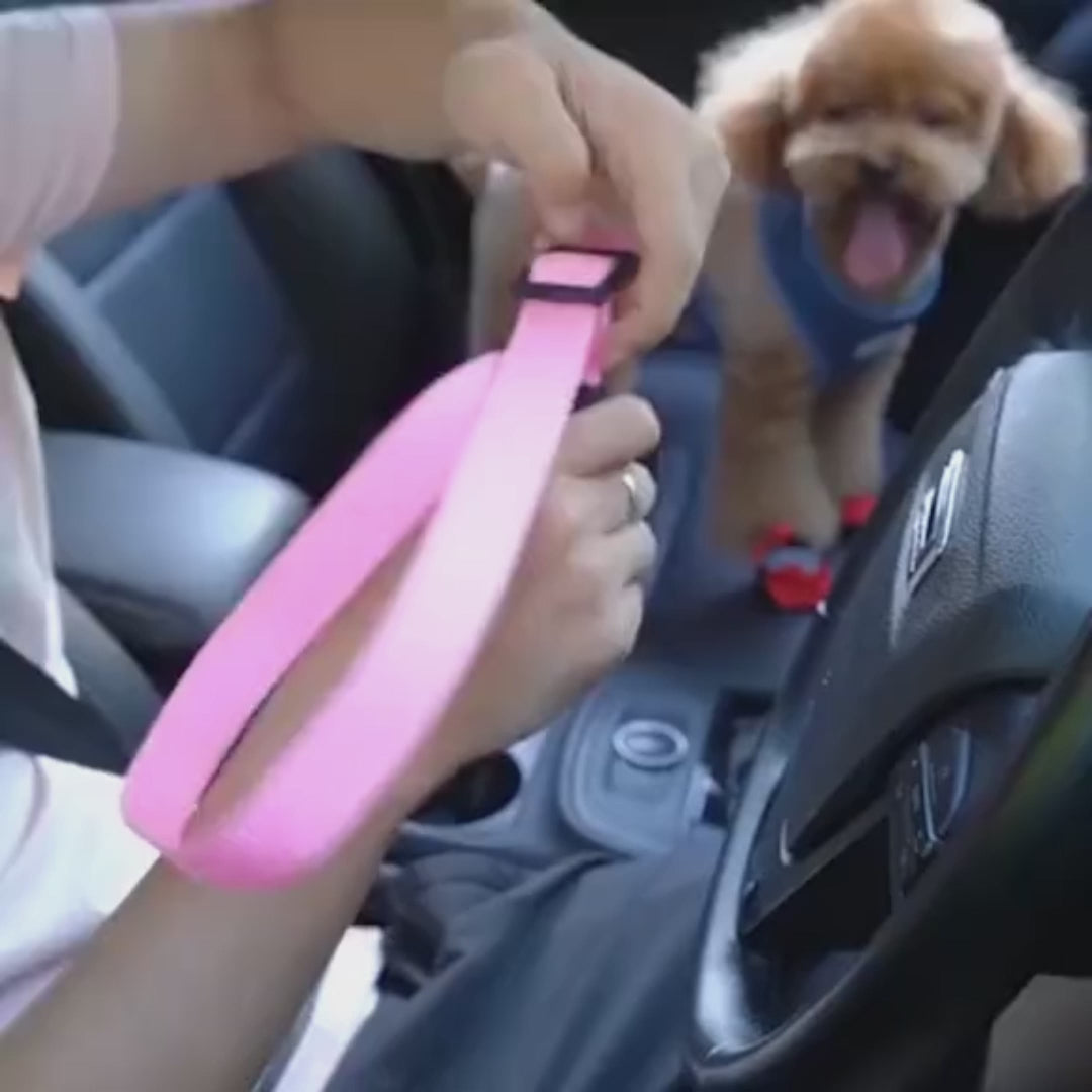 Ceinture de sécurité pour chien et chat en voiture