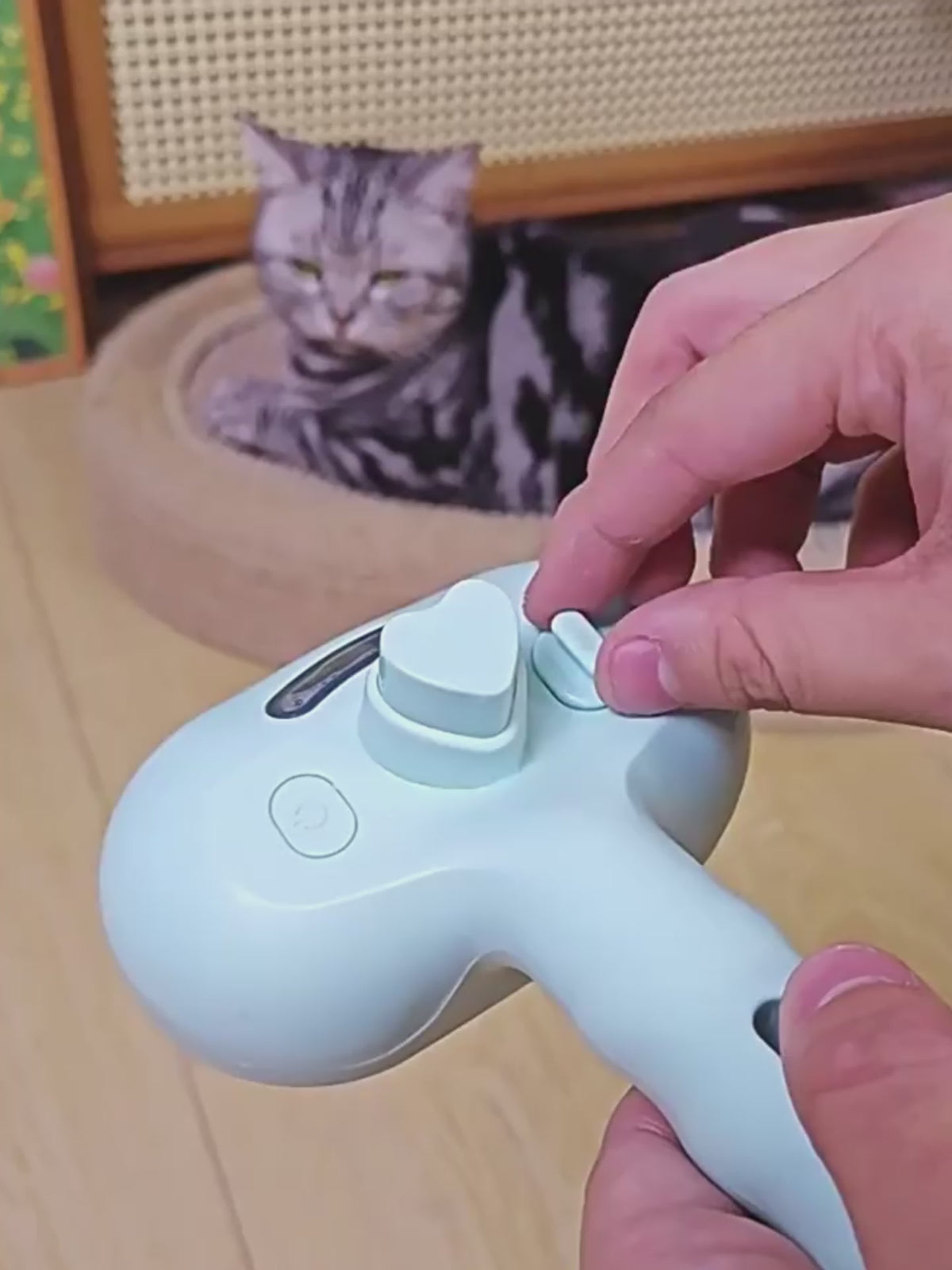 Peigne de toilettage pour animaux de compagnie